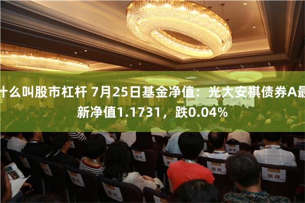 什么叫股市杠杆 7月25日基金净值：光大安祺债券A最新净值1.1731，跌0.04%