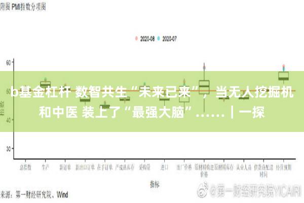 b基金杠杆 数智共生“未来已来”，当无人挖掘机和中医 装上了“最强大脑”……｜一探