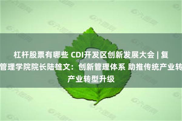 杠杆股票有哪些 CDI开发区创新发展大会 | 复旦大学管理学院院长陆雄文：创新管理体系 助推传统产业转型升级