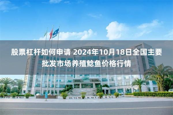 股票杠杆如何申请 2024年10月18日全国主要批发市场养殖鲶鱼价格行情