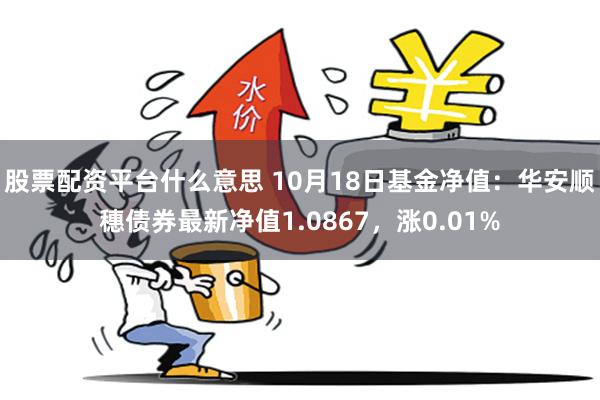 股票配资平台什么意思 10月18日基金净值：华安顺穗债券最新净值1.0867，涨0.01%